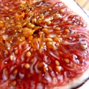 Growing Fig Trees in Containers for Indoor Winter Care | Perfect Plant