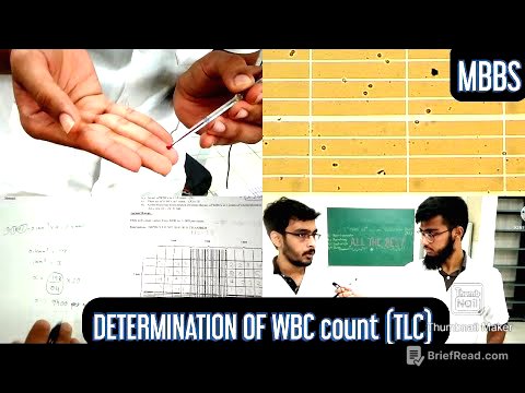 Determination of WBC count (TLC -Total leucocyte count) | MUHS | #mbbs #practical #hematology