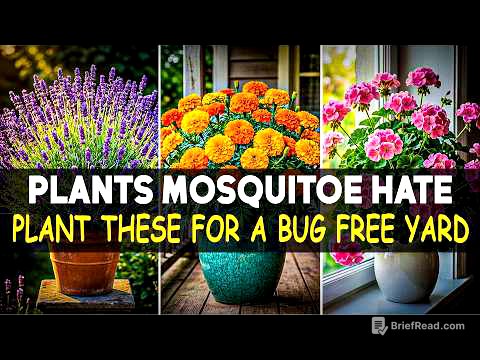 WANT A BUG-FREE YARD THIS SUMMER? TRY THESE 15 MOSQUITO-REPELLENT PLANTS