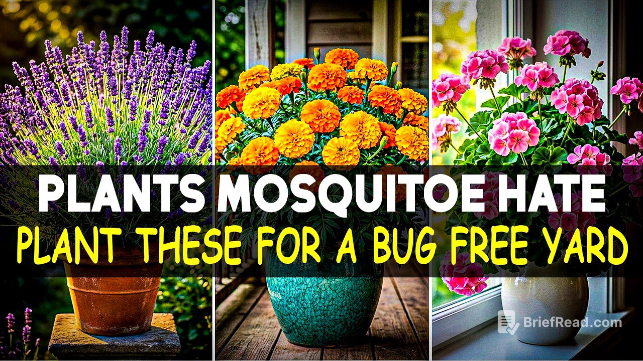 WANT A BUG-FREE YARD THIS SUMMER? TRY THESE 15 MOSQUITO-REPELLENT PLANTS