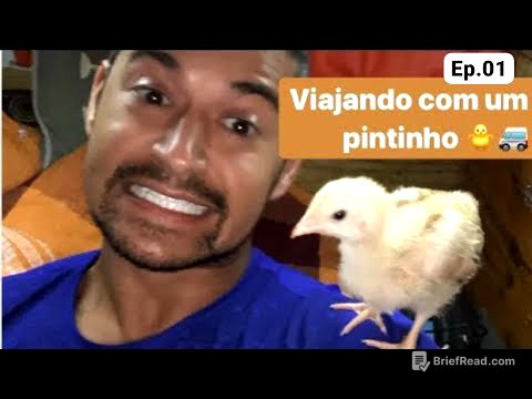 VIAJANDO DE KOMBI. A CHEGADA DO BRAD | AVENTURAS DE GUTO #1
