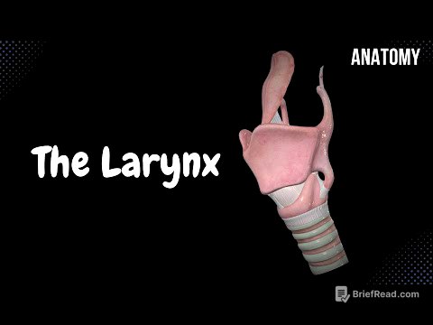 Larynx (Voice Box) - Cartilage, Ligaments, Joints, Wall, Cavity | Anatomy