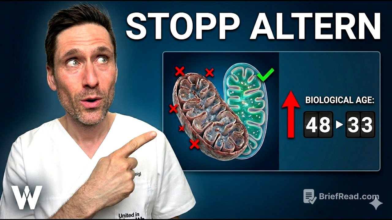Biologisches Alter senken: Die 3 effektivsten Hebel
