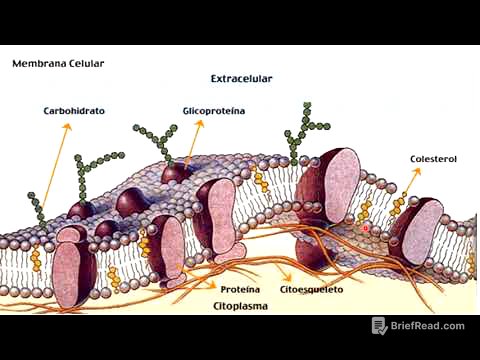 Membrana plasmática: Generalidades