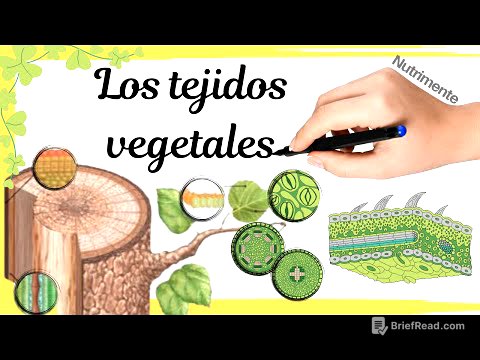 Los TEJIDOS VEGETALES