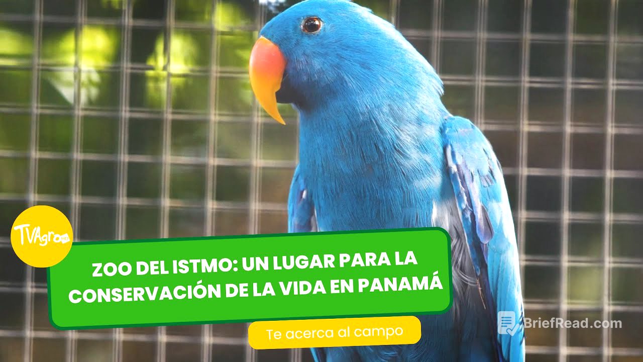 Zoo del Istmo: un lugar para la conservación de la vida  - Panamá - por Juan Gonzalo Angel Restrepo