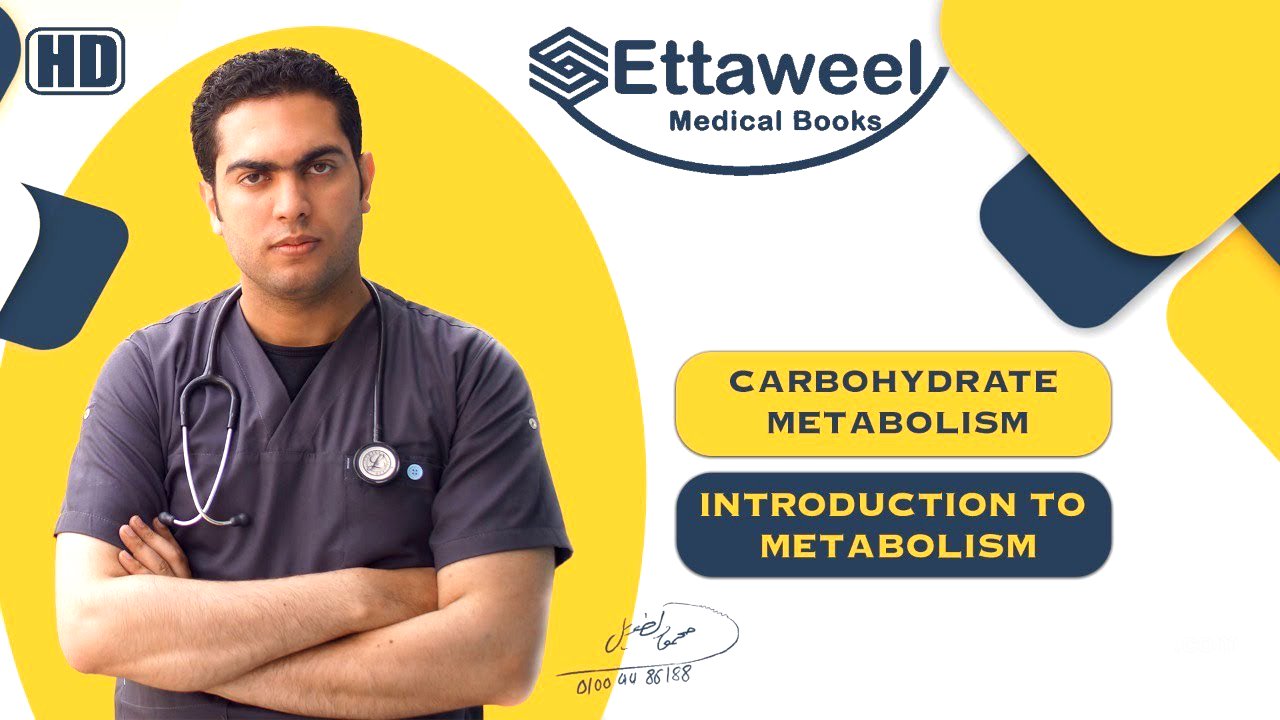 Introduction to Metabolism
