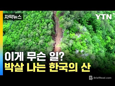 [자막뉴스] 환경 보호하려고 환경 파괴? 반년이 지나 다시 가봤습니다 / YTN