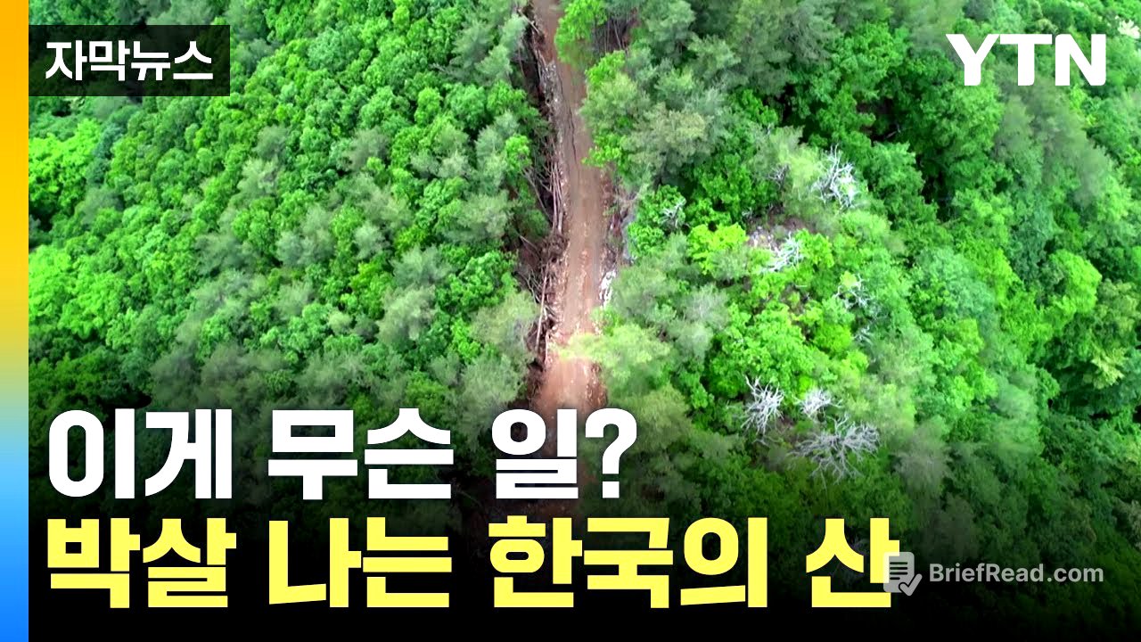 [자막뉴스] 환경 보호하려고 환경 파괴? 반년이 지나 다시 가봤습니다 / YTN
