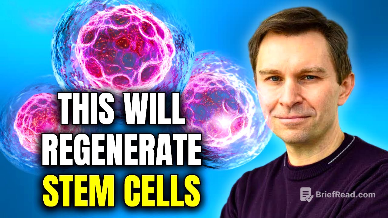 This Food Can Regrow Stem Cells, Eat This Every Day! | Dr. David Sinclair