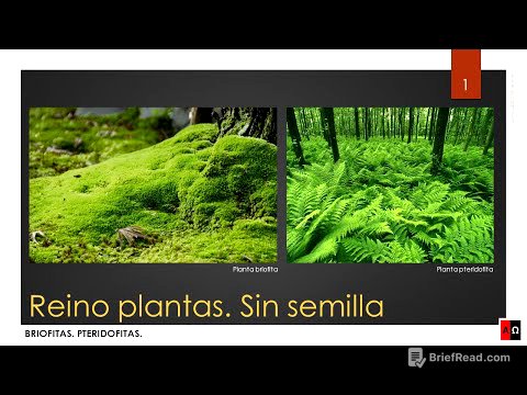 Reino plantas. Sin semilla. Briofitas. Pteridofitas
