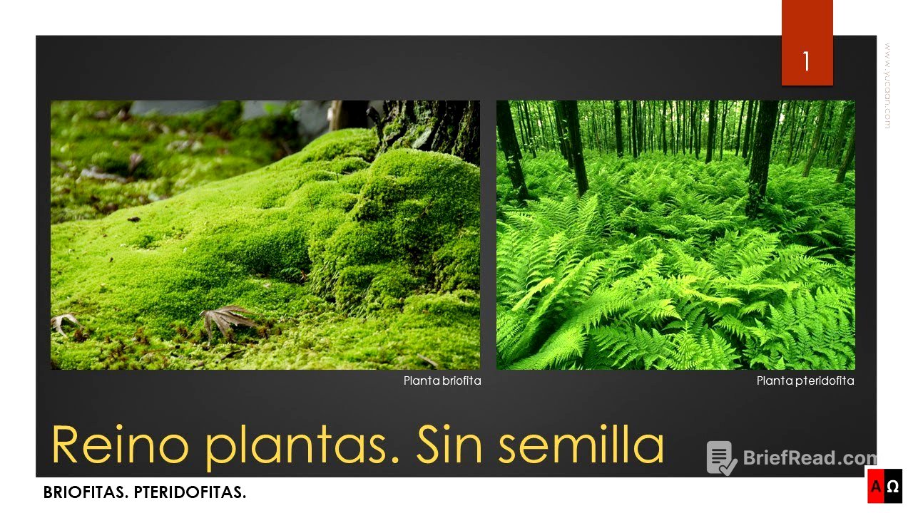 Reino plantas. Sin semilla. Briofitas. Pteridofitas