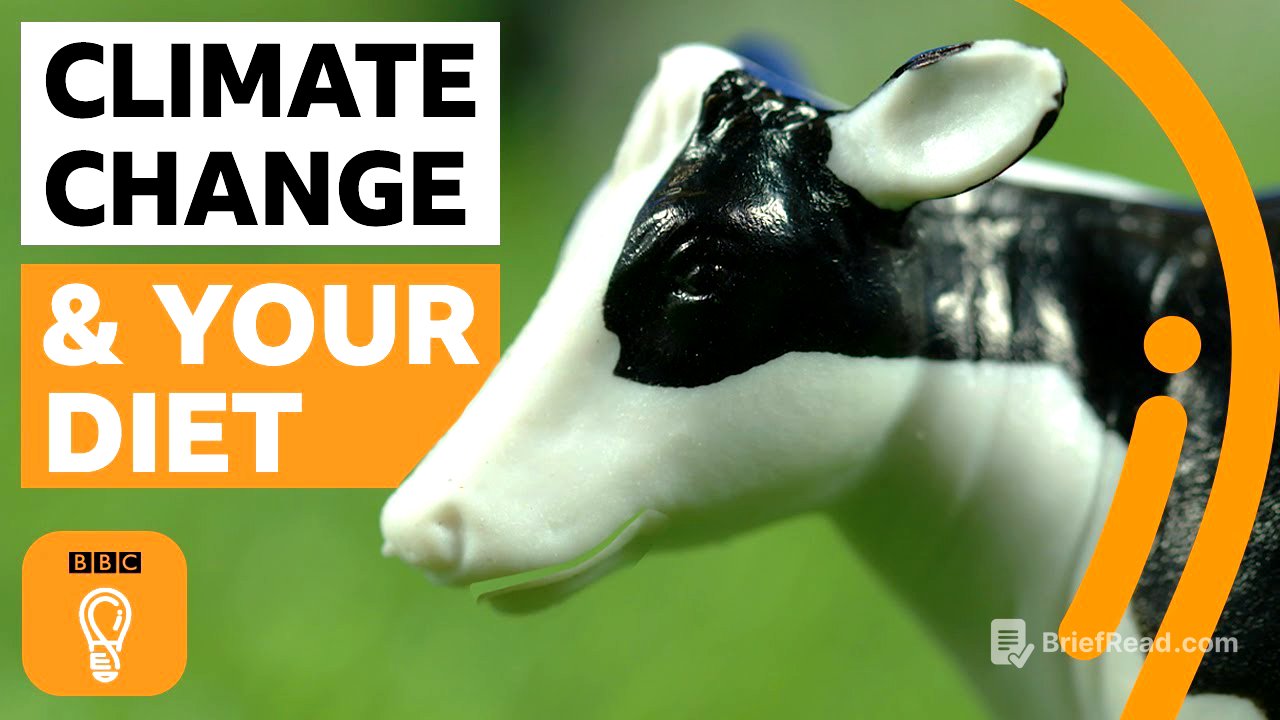 What if everyone in the world went vegan? | BBC Ideas