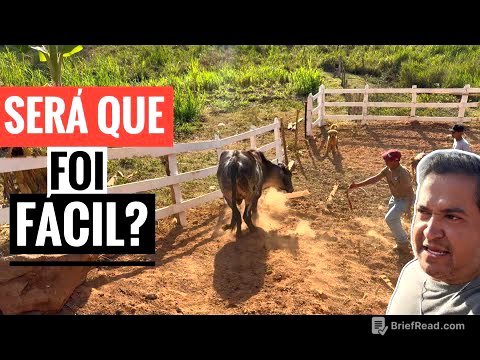 NOSSO BEZERRO SOBERANO COMEÇOU A SER DOMADO.