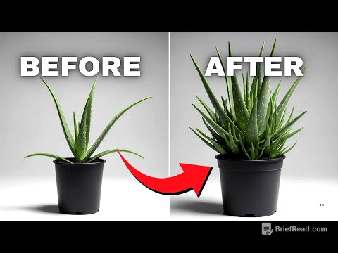 7 Aloe Vera Plant Care Tips That You Need to Know – Houseplant Care