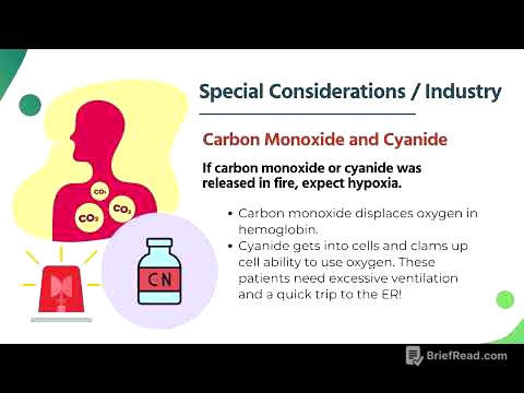 Burns: Causes and Emergency Care