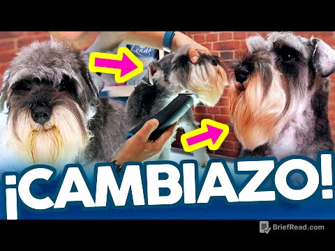 ¿Es CORRECTO RAPAR la CABEZA de un SCHNAUZER?