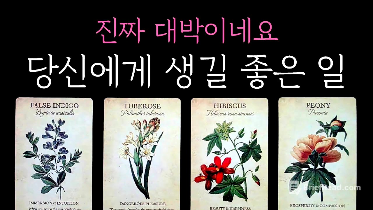 [타로] 소개로 찾아오는 타로🔮 진짜 대박이네요 당신에게 생길 좋은 일