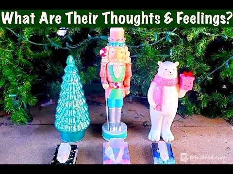 What Are They Thinking & Feeling For You TODAY? Pick A Card Psychic Romantic Love Tarot Card Reading