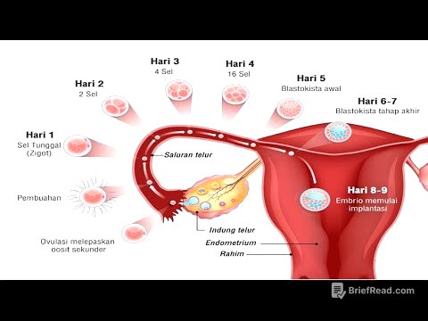 FERTILISASI DAN PERKEMBANGAN EMBRIO