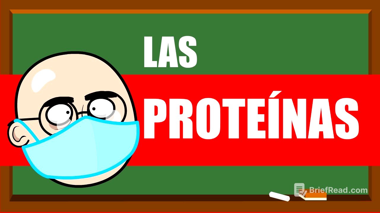 PROTEÍNAS Y AMINOÁCIDOS 💪💪💪 UN MES DE CLASES EN 5 MINUTOS !!!