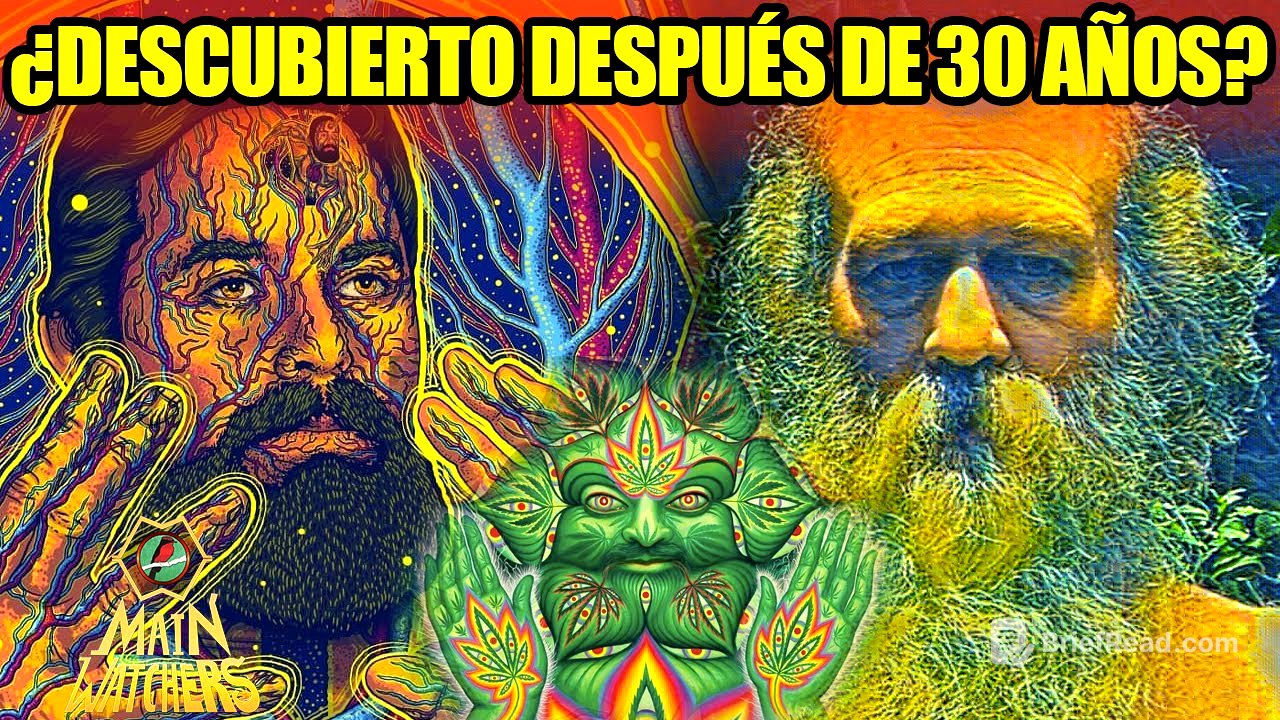 REAPARECIÓ JACOBO GRINBERG?