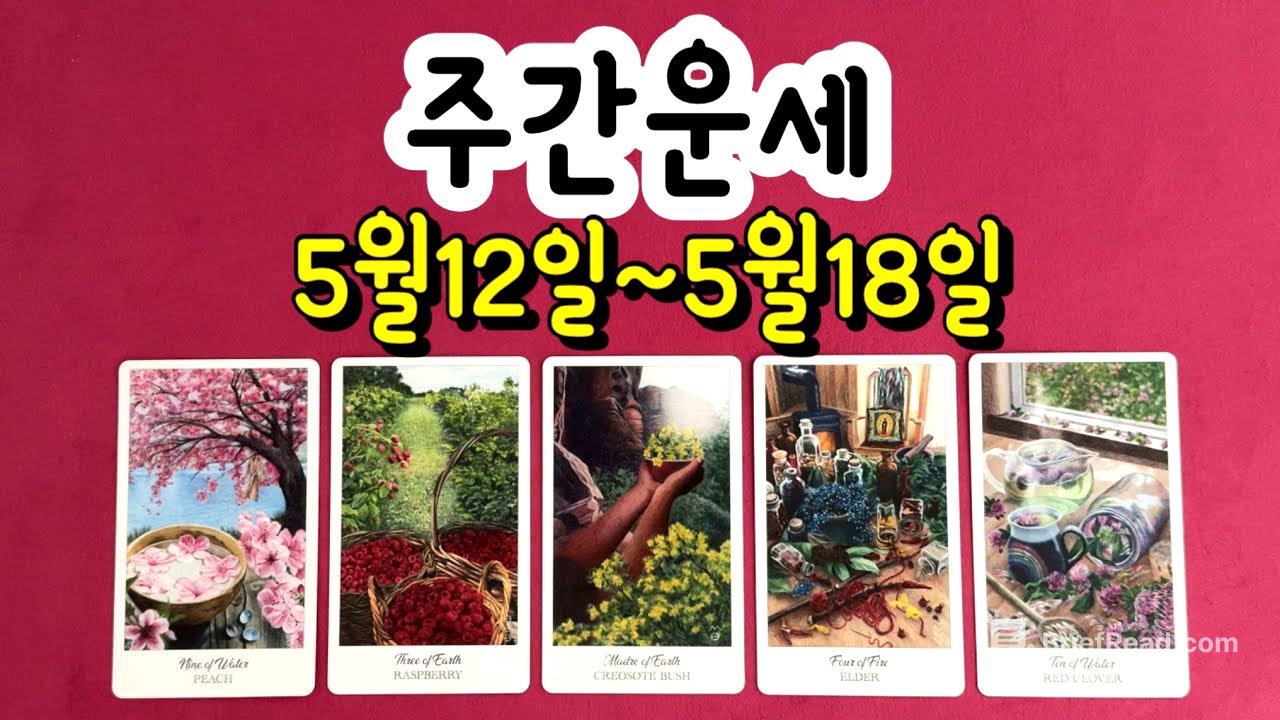 [타로/주간운세] 2025년 5월 12일~5월 18일 땡큐타로 주간운세입니다.
