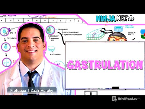 Embryology | Gastrulation