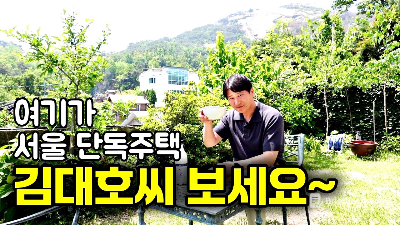 서울 부암동에 이런 단독주택 마을이, 김대호 아나운서도 탐낼 국보급 풍경