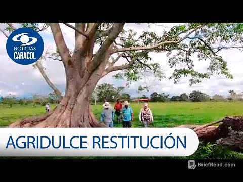 El sabor agridulce de la restitución de tierras: 10 años de vacíos y obstáculos | Noticias Caracol