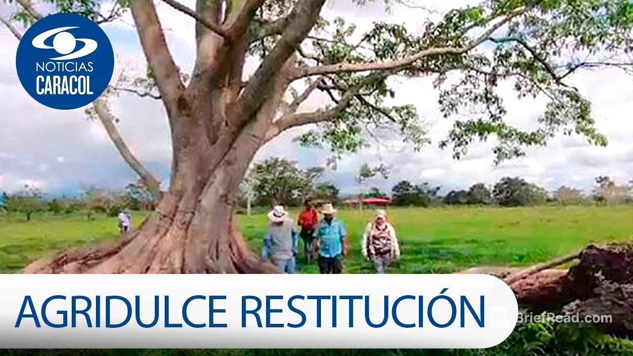 El sabor agridulce de la restitución de tierras: 10 años de vacíos y obstáculos | Noticias Caracol