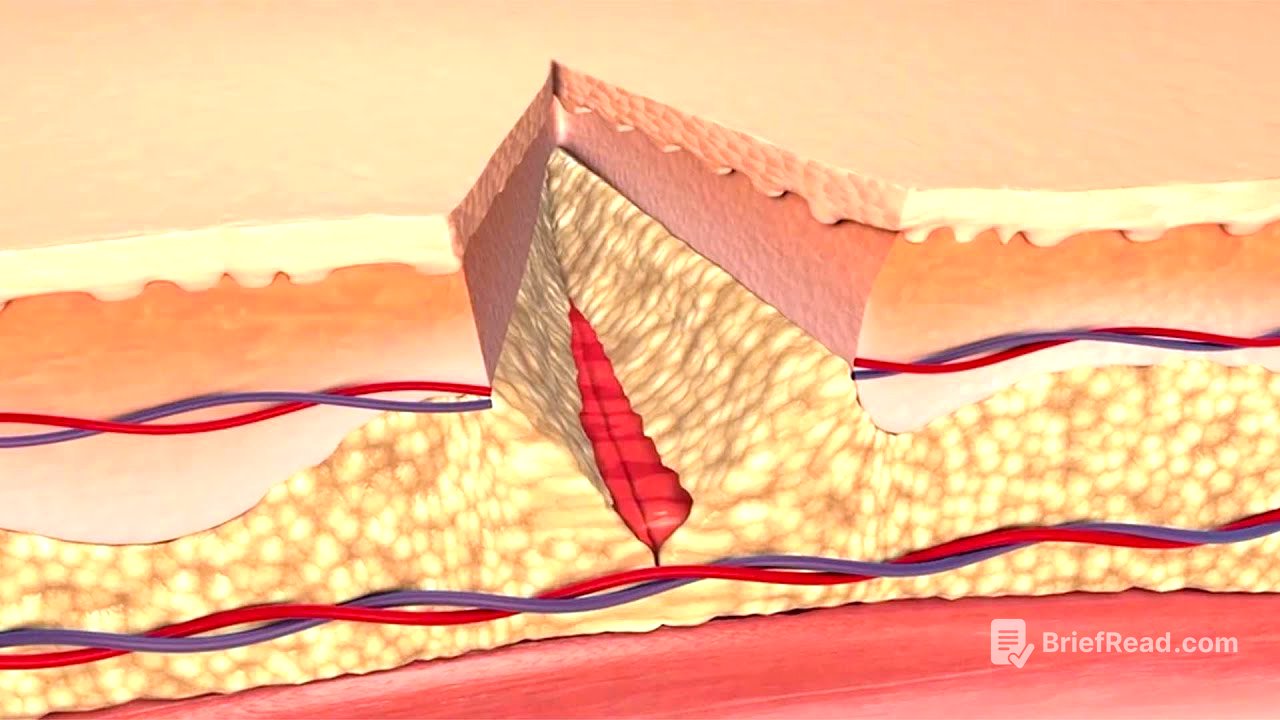 How Your Body Heals Cuts, Scrapes, and Puncture Wounds to the Skin