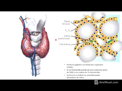 Metabolismo del calcio y fósforo 2021