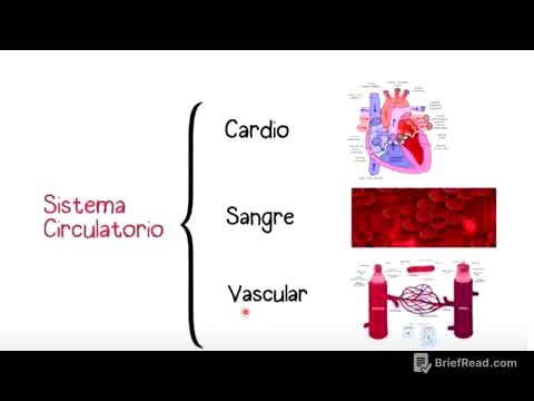 Fisiología cardiaca