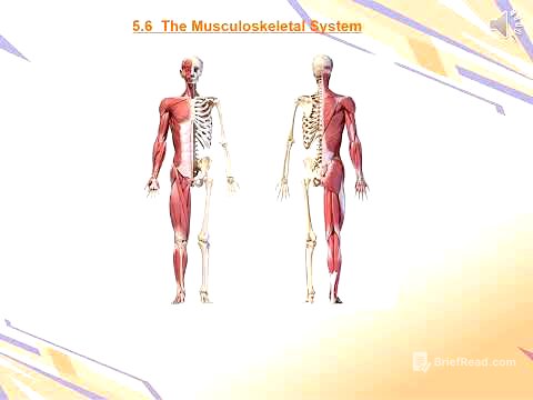 07 Uni Life Basic First Aid introduction information 2025