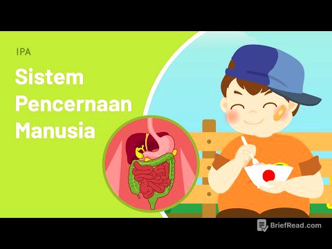 Sistem Pencernaan Manusia: Proses Pencernaan Pada Tubuh Manusia