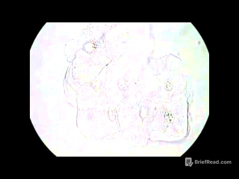 Examination of Vaginal Wet Preps