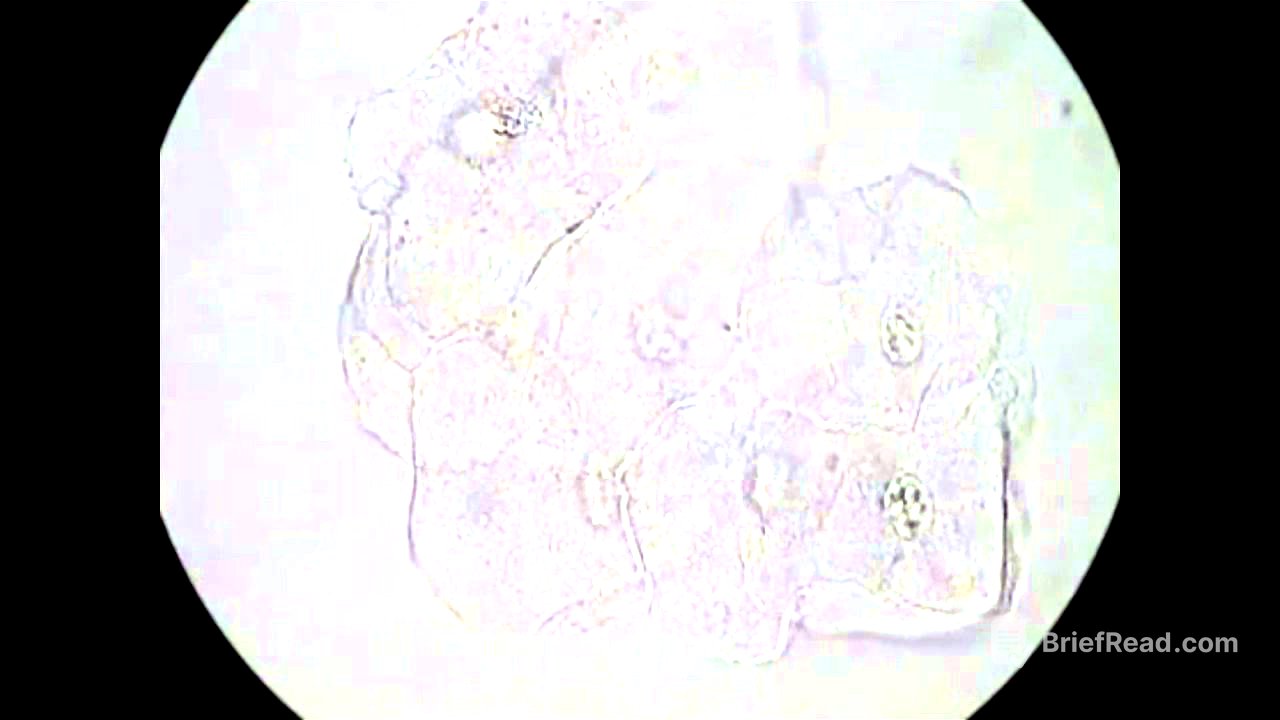Examination of Vaginal Wet Preps