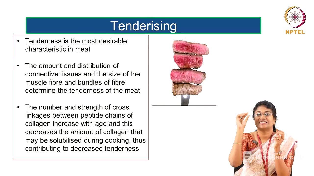 Meat Fish and Poultry