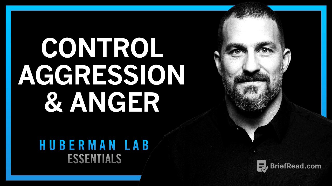 Understanding & Controlling Aggression | Huberman Lab Essentials