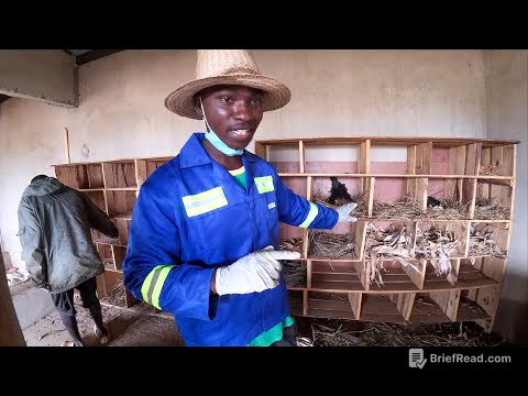 Chegou a Hora de Colocar Tudo em Ordem Aqui na Roça… Antes que Seja Tarde!