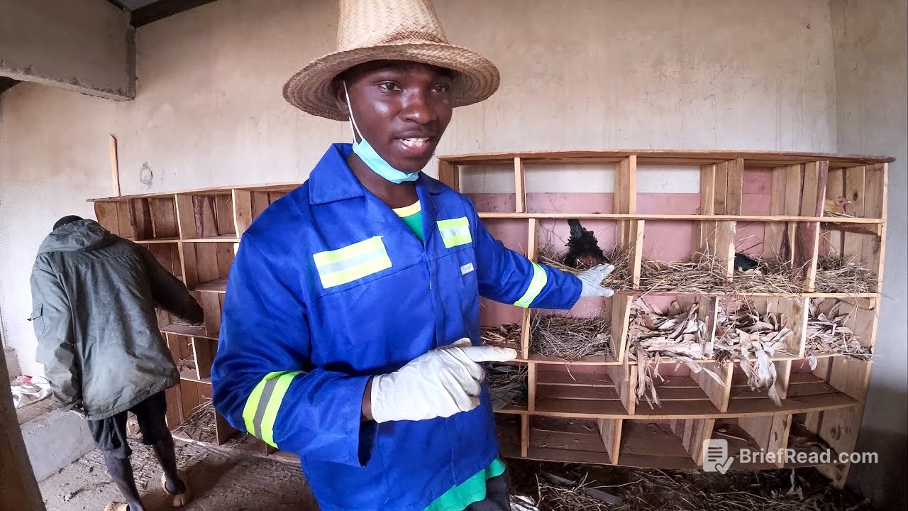 Chegou a Hora de Colocar Tudo em Ordem Aqui na Roça… Antes que Seja Tarde!