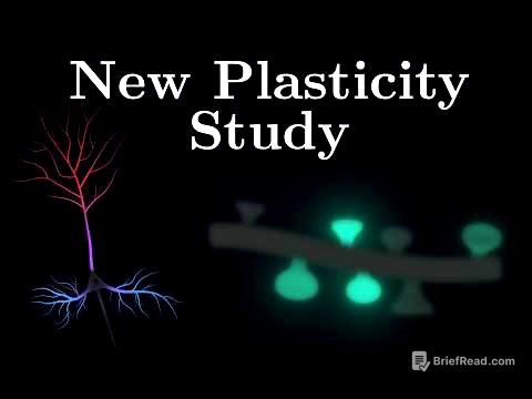 Why Different Neuron Parts Learn Differently?