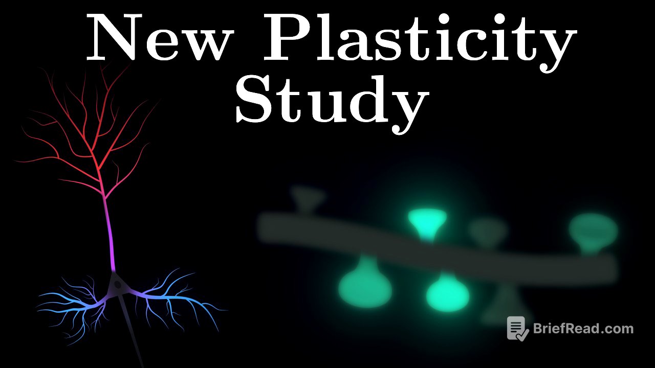 Why Different Neuron Parts Learn Differently?