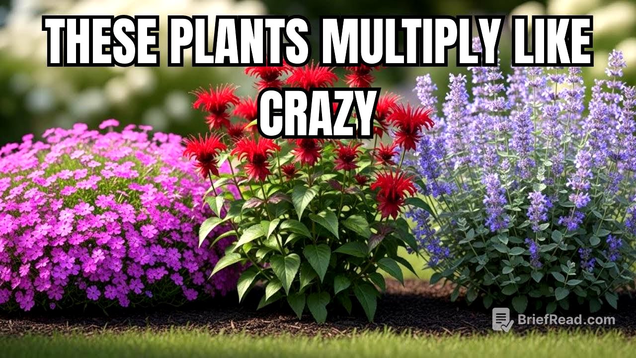 Plant These in APRIL! 11 FAST SPREADING Perennials for a LUSH LandScape All Year Round