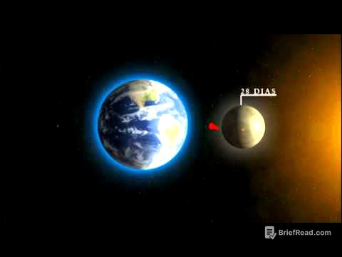 Movimentos e fases da Lua: rotação, revolução e translação explicadas