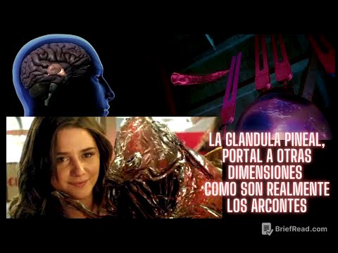 La glándula pineal es la puerta a otras dimensiones y como son las entidades parasitarias realmente