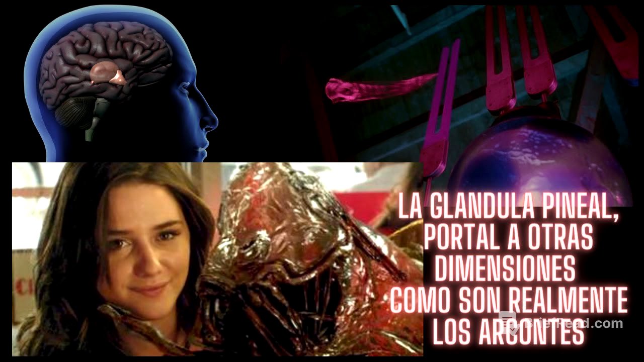 La glándula pineal es la puerta a otras dimensiones y como son las entidades parasitarias realmente