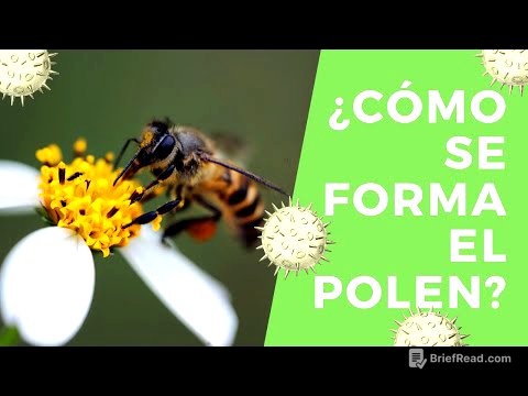 ¿Cómo se forma el polen?    Androceo