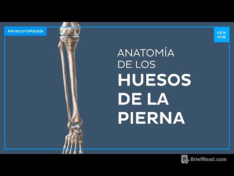 Huesos de la pierna - Anatomía Fácil | Kenhub